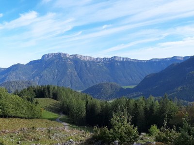 Holiday apartment FÃ¶dermayr - Environment photo 22