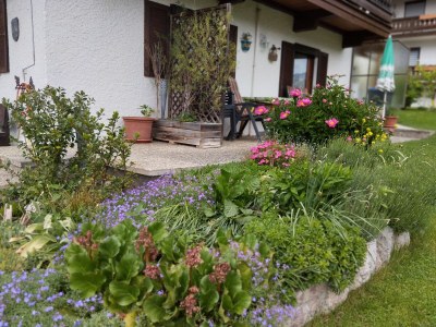 Holiday apartment House Berggruß - Outdoor photo 7