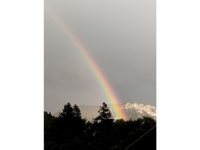 Holiday apartment House Berggruß - Outdoor photo 15