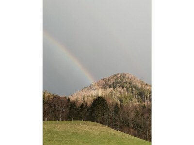 Holiday apartment House Berggruß - Outdoor photo 16