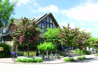 Holiday apartment - The "Ocala" mobile home. - Environment photo 12