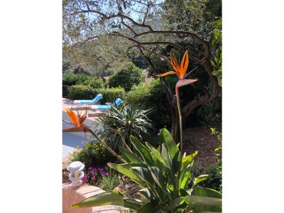 Holiday house La Belle Ile - Outdoor photo 16