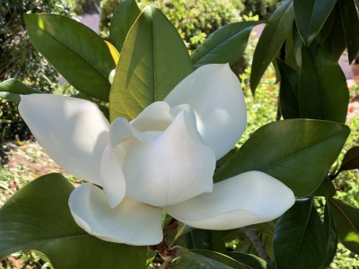 Holiday house La Belle Ile - Outdoor photo 17