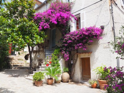 Holiday house La Belle Ile - Environment photo 38