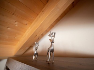 Holiday apartment Bergzauber - Features photo 55