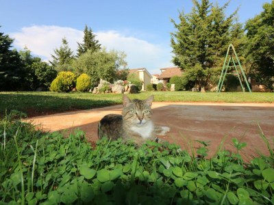 Holiday house Lorena - Outdoor photo 9