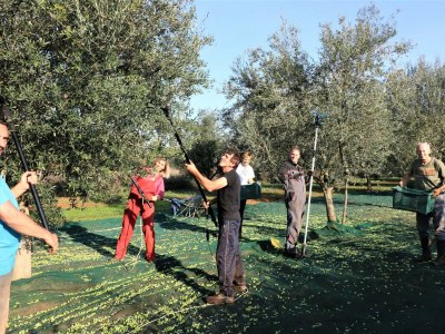 Holiday house Lorena - Environment photo 35