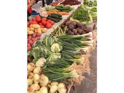 Holiday apartment Villa Punta - Environment photo 36