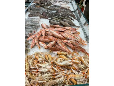 Holiday apartment Villa Punta - Environment photo 37