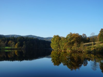 Holiday apartment 801 im Feriendorf - Environment photo 16