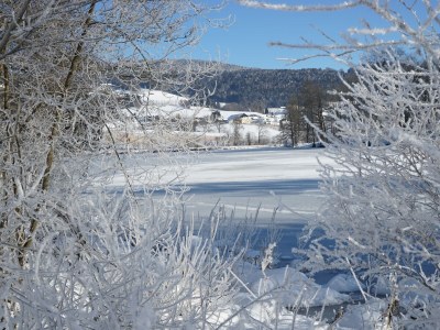 Holiday apartment 801 im Feriendorf - Environment photo 17