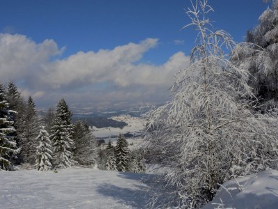 Holiday apartment 801 im Feriendorf - Environment photo 18