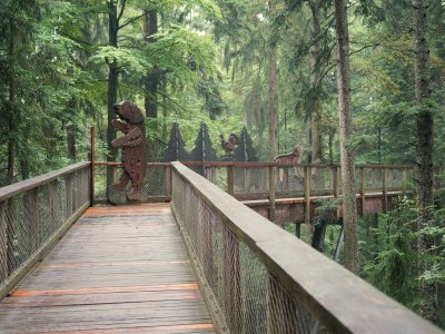 Holiday apartment 801 im Feriendorf - Environment photo 21