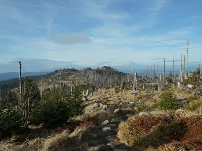 Holiday apartment 801 im Feriendorf - Environment photo 22