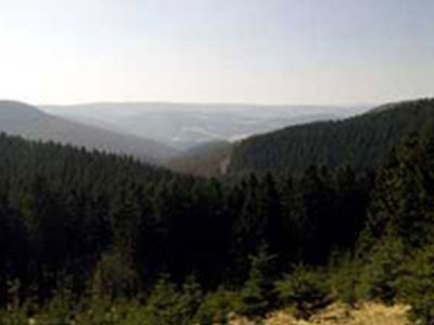 Holiday apartment Debray - Environment photo 19