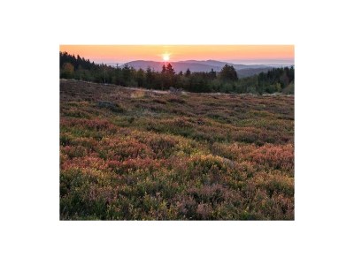 Holiday apartment Debray - Document photo 27