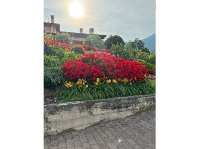 Apartment Nico - Outdoor photo 16