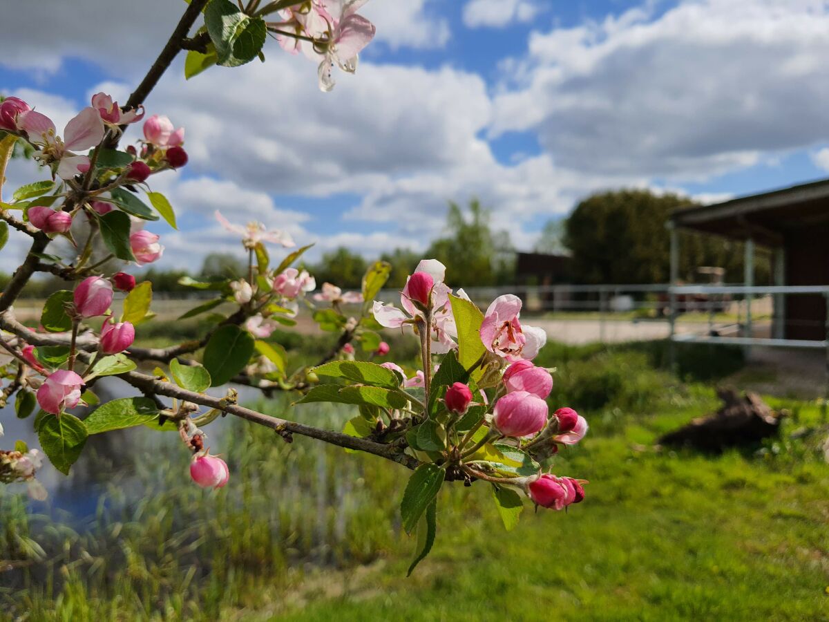 Holiday apartment Sund 2 - Outdoor photo 5