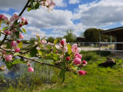 Holiday apartment Sund 2 - Outdoor photo 5