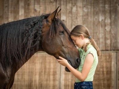 Holiday apartment Sund 2 - Environment photo 24