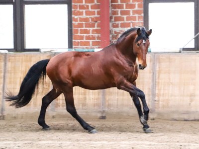 Holiday apartment Sund 2 - Environment photo 26