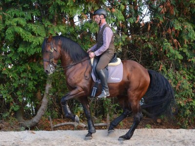 Holiday apartment Sund 2 - Environment photo 27