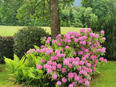 Holiday house Michaela für Naturliebhaber - Outdoor photo 5