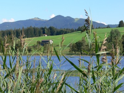 Holiday house Michaela für Naturliebhaber - Environment photo 26