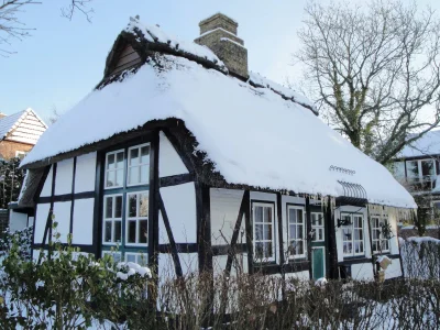 Holiday house Rikate in Kappeln on the Schlei - Outdoor photo 3