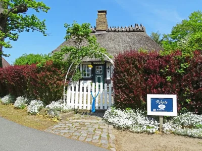Holiday house Rikate in Kappeln on the Schlei - Outdoor photo 6