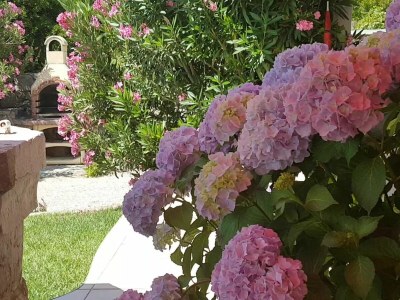 Holiday apartment Casa Croatia 2 - Outdoor photo 8