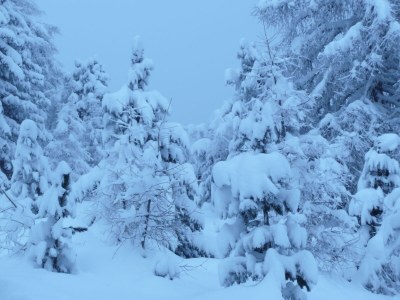 Holiday apartment Pirchner - Features photo 23