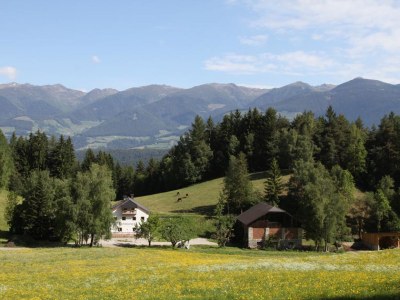 Holiday apartment Pirchner - Environment photo 24