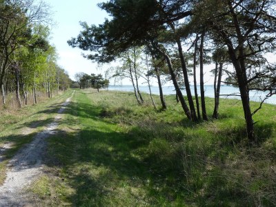 Holiday apartment mit Terrasse - Environment photo 19