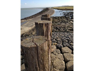 Apartment Residentie De Schelde 601 - Environment photo 19