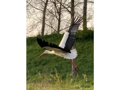 Apartment Residentie De Schelde 601 - Environment photo 27
