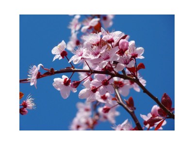 Apartment Residentie De Schelde 601 - Environment photo 29