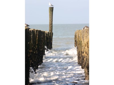 Apartment Strandresidentie D502 - Environment photo 16