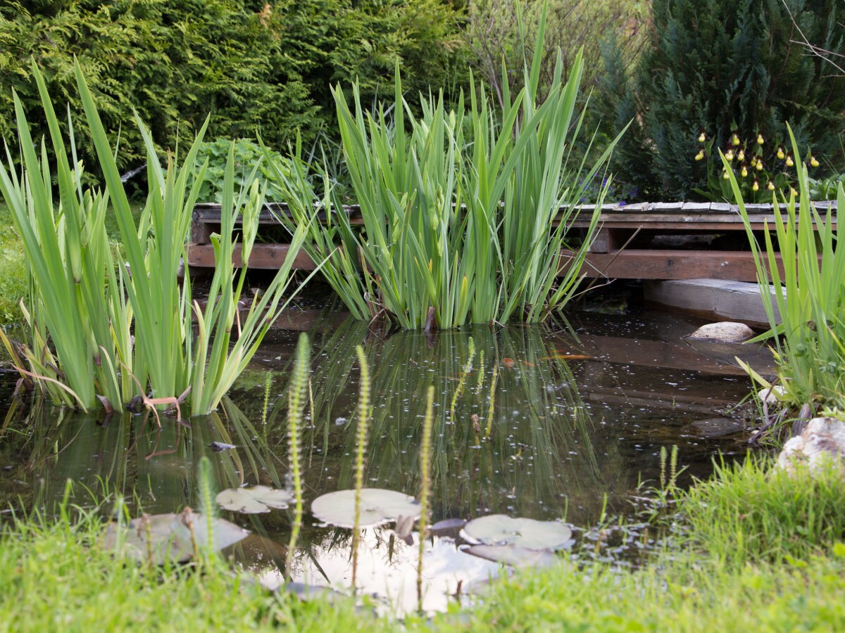 Holiday house Kleinarl - Outdoor photo 4