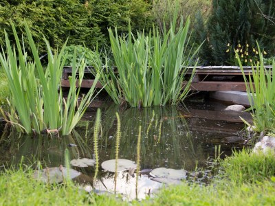 Holiday house Kleinarl - Outdoor photo 4