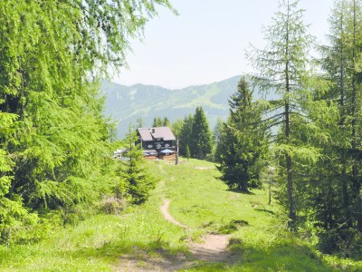 Holiday house Kleinarl - Environment photo 20