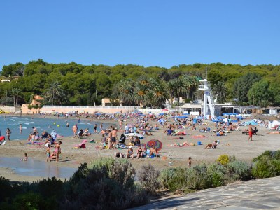 Holiday house La Torre - Environment photo 19