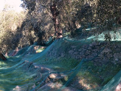 Holiday house La Buraggia in Agriturismo Cà di Ughi - Environment photo 15