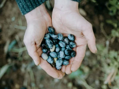 Holiday house La Buraggia in Agriturismo Cà di Ughi - Environment photo 22