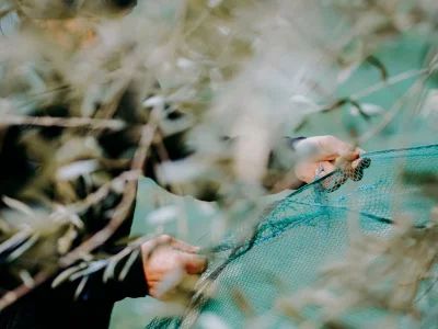 Holiday house La Buraggia in Agriturismo Cà di Ughi - Environment photo 25