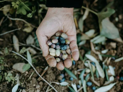 Holiday house La Buraggia in Agriturismo Cà di Ughi - Environment photo 26