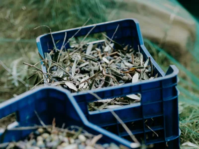 Holiday house La Buraggia in Agriturismo Cà di Ughi - Environment photo 28