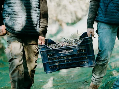 Holiday house La Buraggia in Agriturismo Cà di Ughi - Environment photo 29