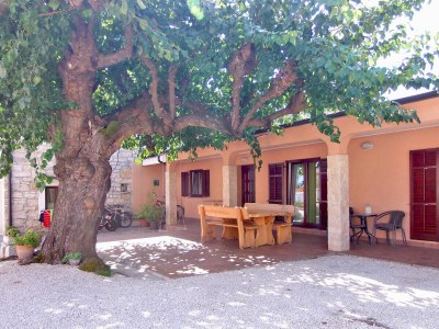 Holiday apartment Boris - Outdoor photo 7