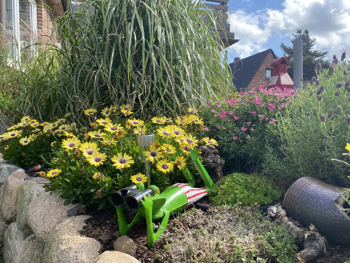 Holiday apartment Flugente/CK - Outdoor photo 5